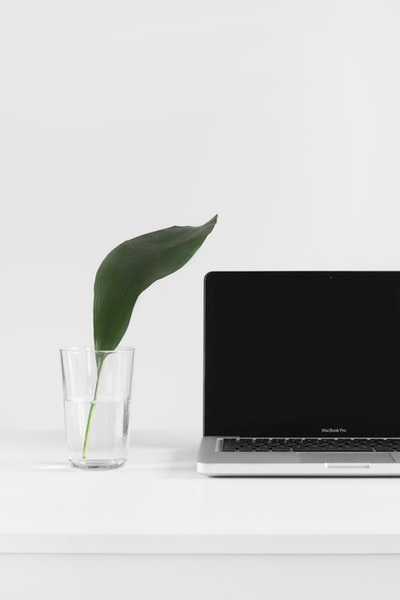 MacBookPro旁边的花瓶里的植物